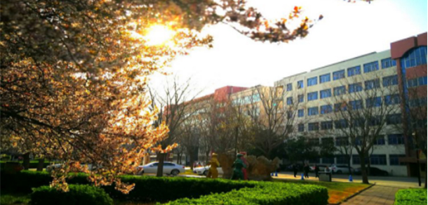 我的大學(xué)-大學(xué)志