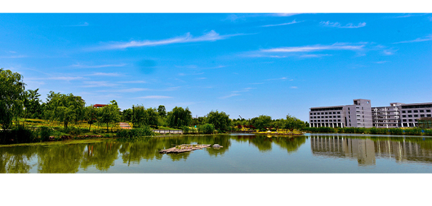 我的大學(xué)-大學(xué)志
