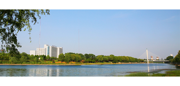 我的大學(xué)-大學(xué)志