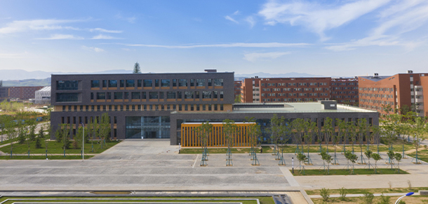 我的大學(xué)-大學(xué)志