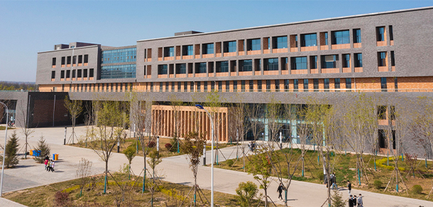 我的大學(xué)-大學(xué)志