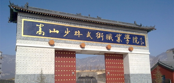 嵩山少林武術(shù)職業(yè)學院