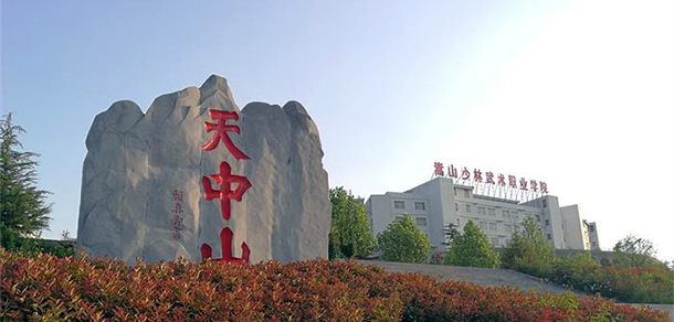 嵩山少林武術(shù)職業(yè)學院 - 最美院校