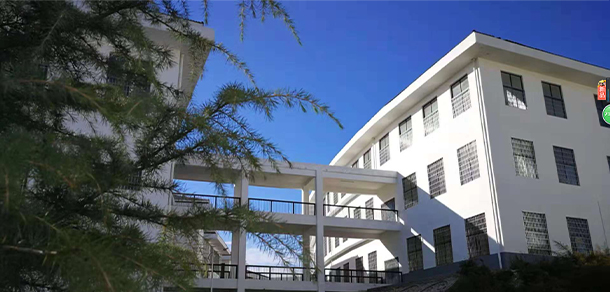 嵩山少林武術(shù)職業(yè)學院 - 最美大學