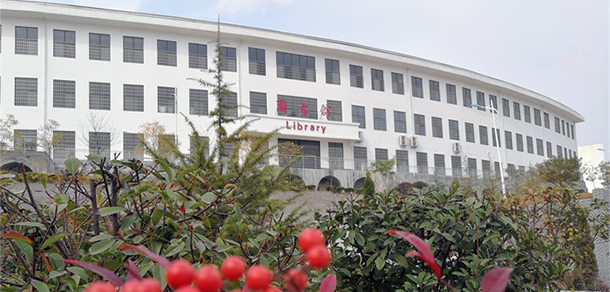 嵩山少林武術(shù)職業(yè)學院 - 最美大學