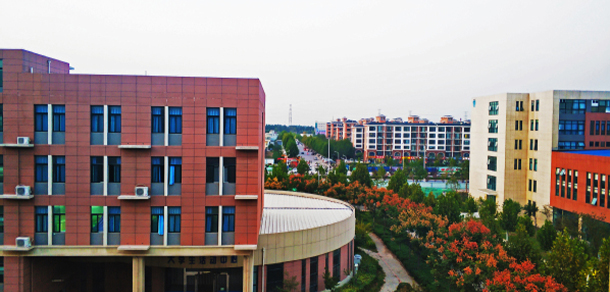 我的大學-大學志