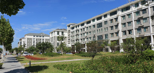 我的大學(xué)-大學(xué)志