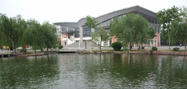 我的大學(xué)-大學(xué)志