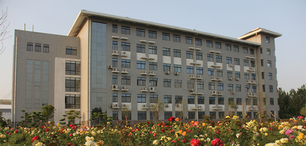 我的大學(xué)-大學(xué)志