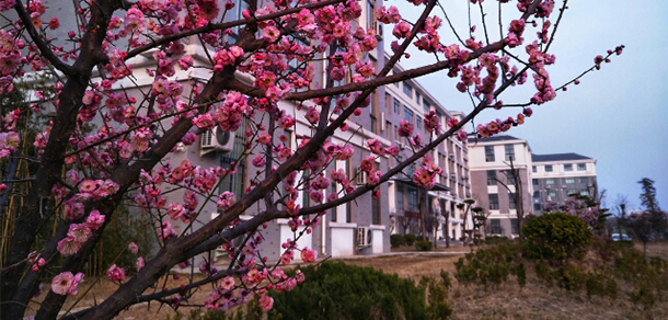我的大學(xué)-大學(xué)志