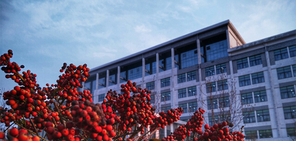 我的大學(xué)-大學(xué)志
