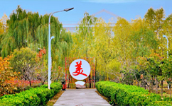 招生公告 · 招生簡(jiǎn)章 · 招生計(jì)劃
