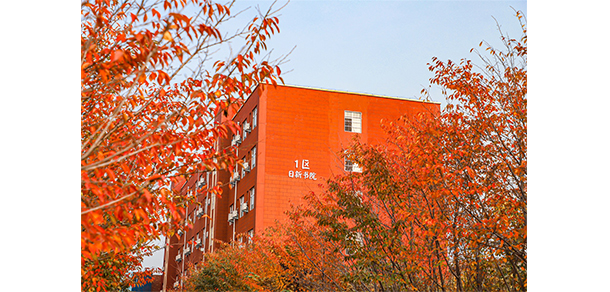 洛陽科技職業(yè)學(xué)院 - 最美大學(xué)