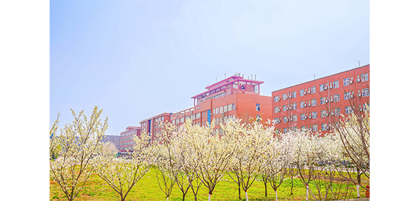 洛陽科技職業(yè)學(xué)院 - 最美大學(xué)