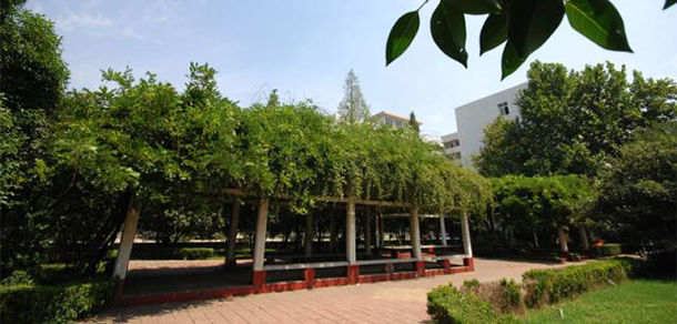 我的大學(xué)-大學(xué)志