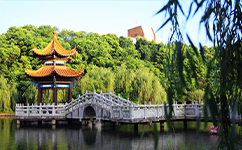 招生公告 · 招生簡(jiǎn)章 · 招生計(jì)劃