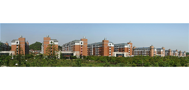 我的大學(xué)-大學(xué)志