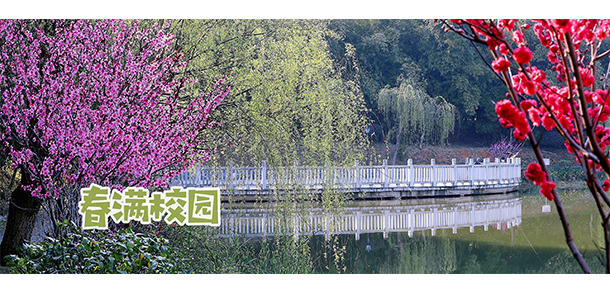 我的大學(xué)-大學(xué)志