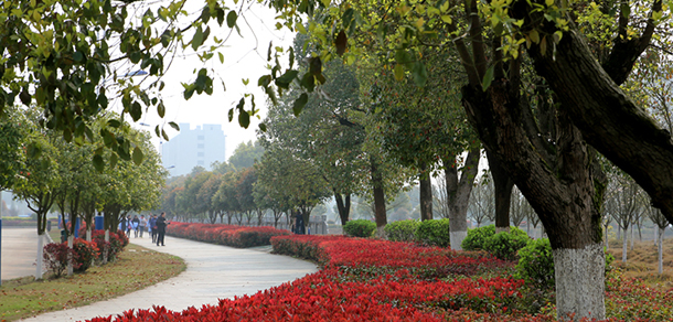 我的大學(xué)-大學(xué)志