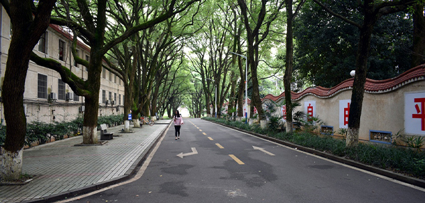 我的大學-大學志