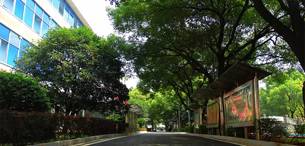 我的大學(xué)-大學(xué)志