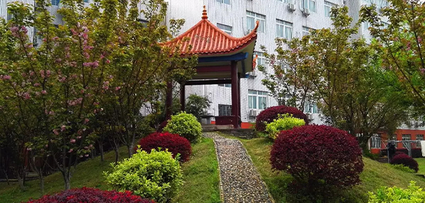 我的大學(xué)-大學(xué)志