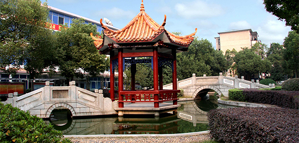 我的大學(xué)-大學(xué)志