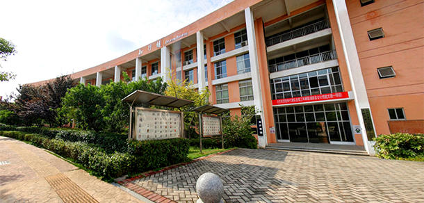 我的大學(xué)-大學(xué)志