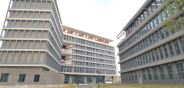 我的大學(xué)-大學(xué)志
