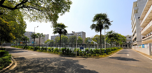 我的大學(xué)-大學(xué)志