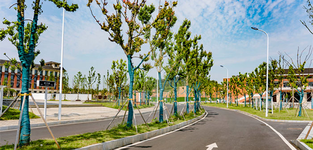 我的大學(xué)-大學(xué)志