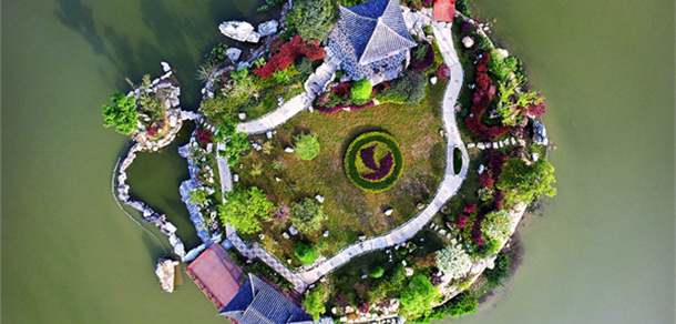 我的大學(xué)-大學(xué)志