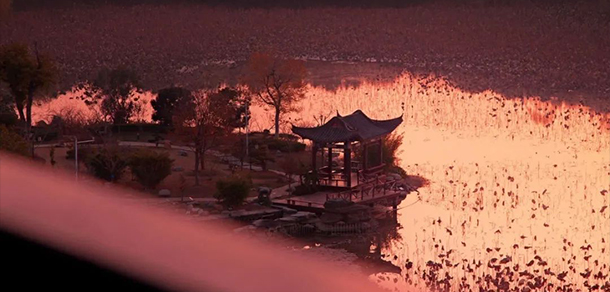 我的大學(xué)-大學(xué)志