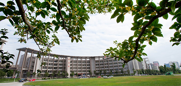 我的大學(xué)-大學(xué)志