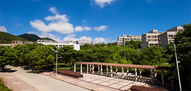 我的大學(xué)-大學(xué)志