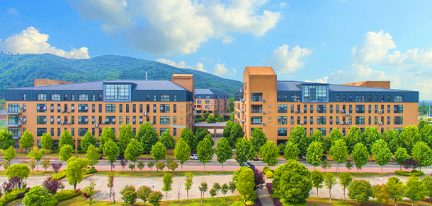 我的大學(xué)-大學(xué)志