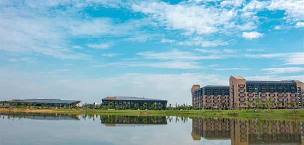 我的大學(xué)-大學(xué)志