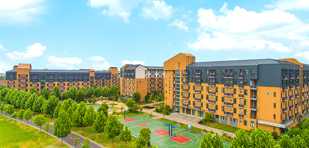 我的大學(xué)-大學(xué)志