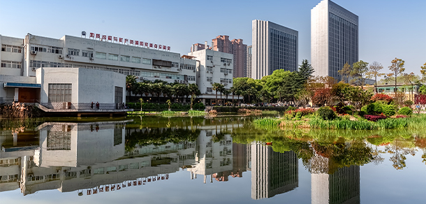 我的大學-大學志