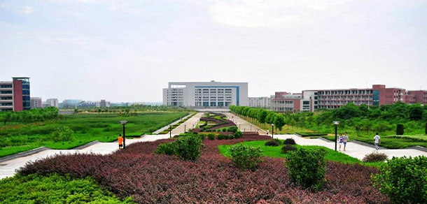 我的大學(xué)-大學(xué)志