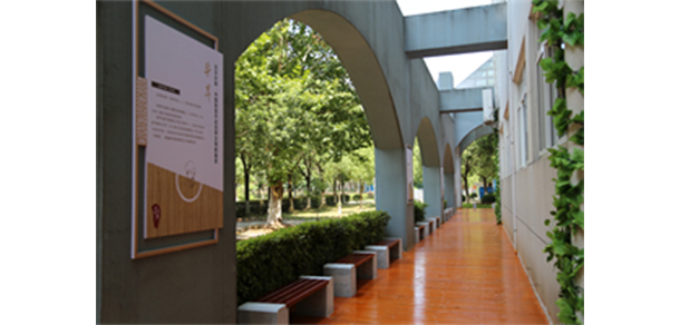 武漢信息傳播職業(yè)技術學院 - 最美大學