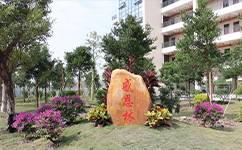 廣東技術(shù)師范大學 - 我的大學