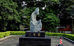 2025年強(qiáng)基計(jì)劃招生簡(jiǎn)章