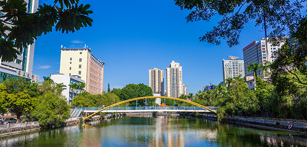 我的大學-大學志