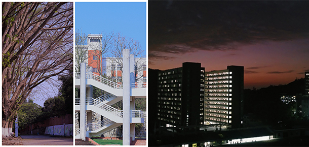 汕頭職業(yè)技術學院 - 最美大學
