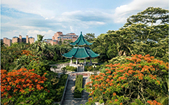 廣東文理職業(yè)學院 - 我的大學