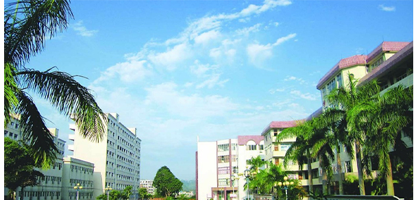 廣東茂名幼兒師范專科學(xué)校 - 最美院校