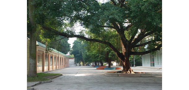 湛江幼兒師范專科學(xué)校 - 最美院校