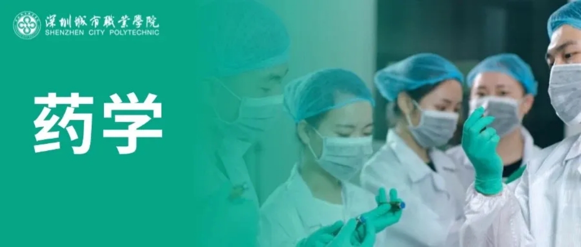 深圳城市職業(yè)學(xué)院2025年夏季高考