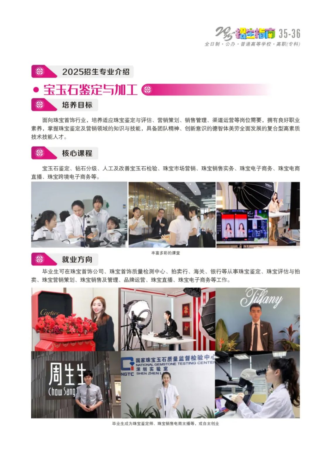 寶玉石鑒定與加工